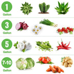 Fabric Plant Pots Grow Bags 3/5/7/10 Gallon Gardening Vegetable Tomato Strawberry Growing Planter Garden Potato Planting Pots