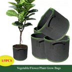 Fabric Plant Pots Grow Bags 3/5/7/10 Gallon Gardening Vegetable Tomato Strawberry Growing Planter Garden Potato Planting Pots