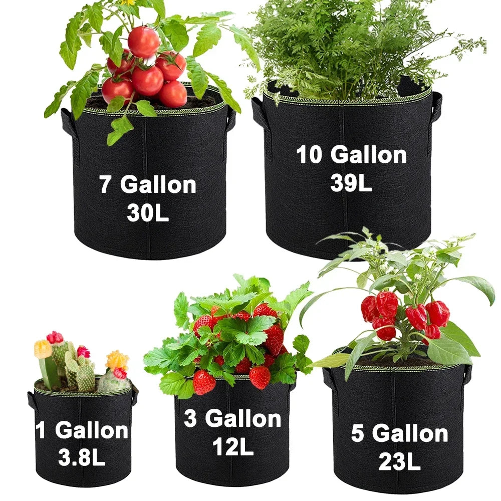 Fabric Plant Pots Grow Bags 3/5/7/10 Gallon Gardening Vegetable Tomato Strawberry Growing Planter Garden Potato Planting Pots