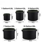 Fabric Plant Pots Grow Bags 3/5/7/10 Gallon Gardening Vegetable Tomato Strawberry Growing Planter Garden Potato Planting Pots